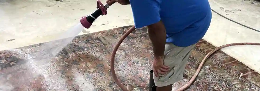 Rug Cleaning Palm Beach Gardens Expert Guide