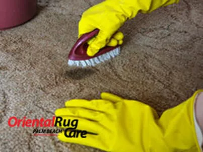 Modern Rug Cleaning Palm beach